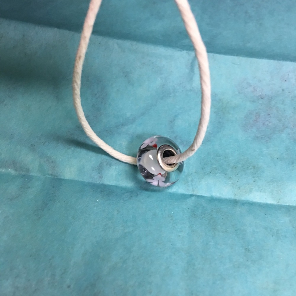 Pandora Charm